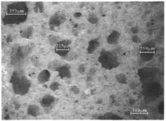 用抛光渣、湖南石粉、b5砂及中级球土制备的环保型多孔陶瓷材料