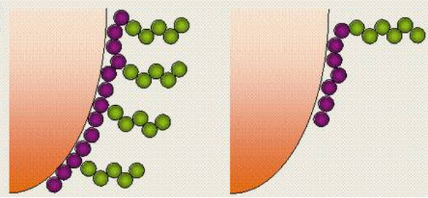 梳状共聚物 梳状共聚物