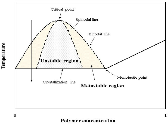 聚合物/稀释剂混合体系的平衡相图