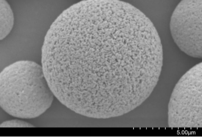 架桥PMMA多孔质微球