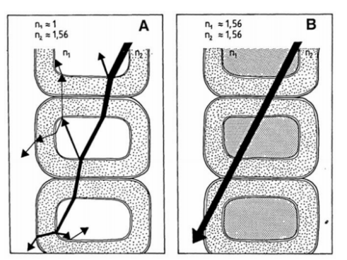 光路传输示意图