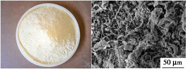 PPTA粉末及其SEM图