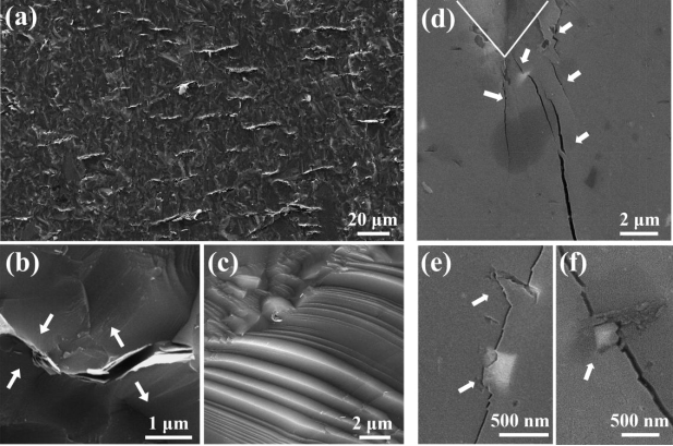 DS@MBNS复合材料的断裂形貌和增韧机制 DS@MBNS复合材料的断裂形貌和增韧机制