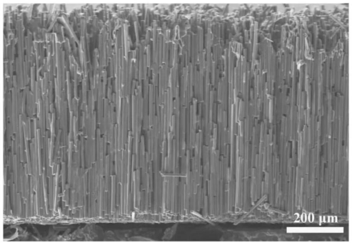 定向排列的碳纤维