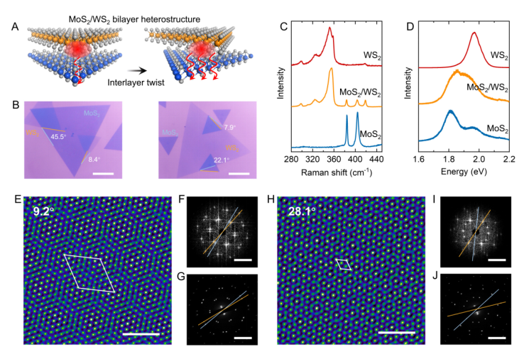 同转角异质双层MoS2/WS2结构的制备与表征 同转角异质双层MoS2/WS2结构的制备与表征