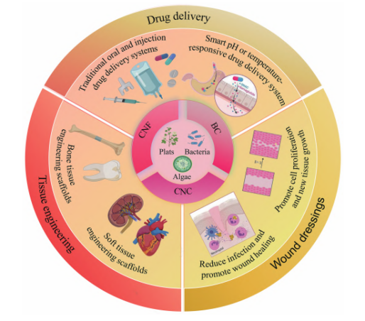 纳米纤维素在生物医学领域中的应用