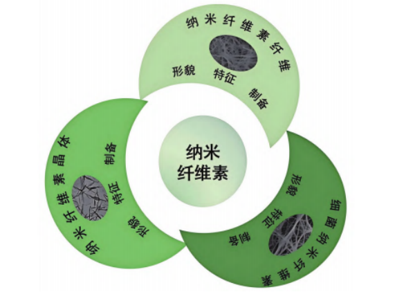 纳米纤维素种类及结构示意图