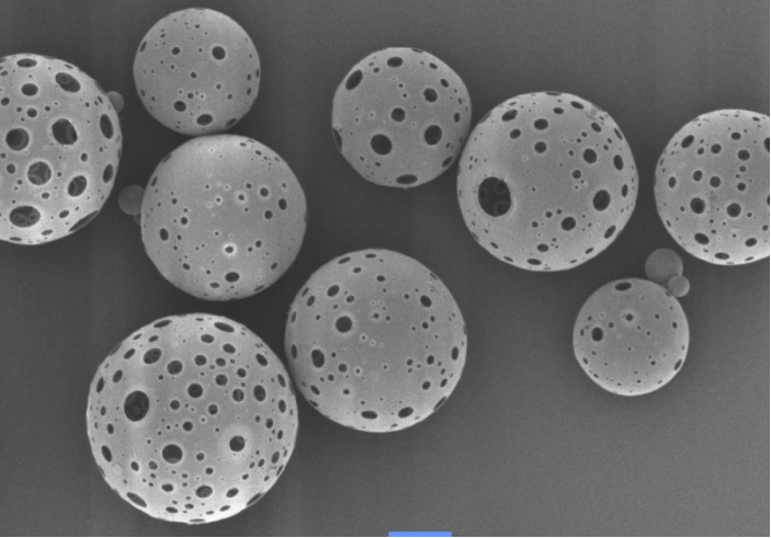 PLLA多孔微球 PLLA多孔微球