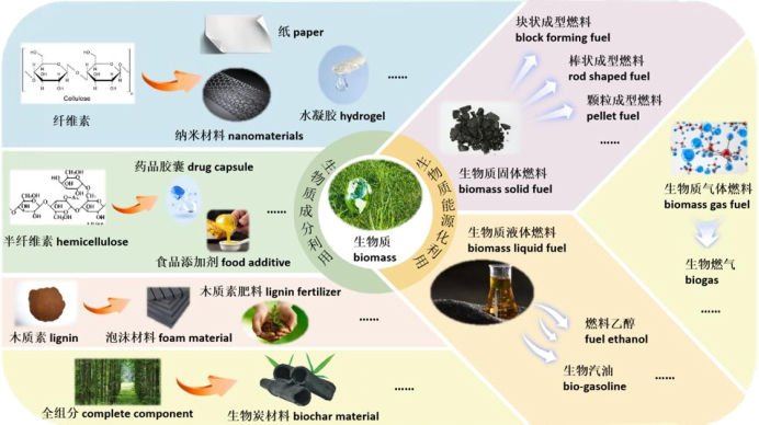 生物质成分利用及生物质能源化利用