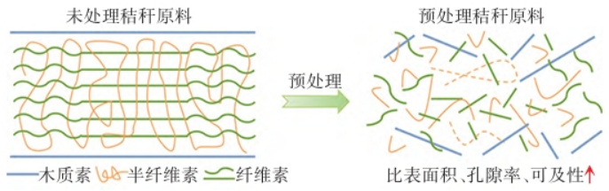 预处理前后木质纤维素结构变化