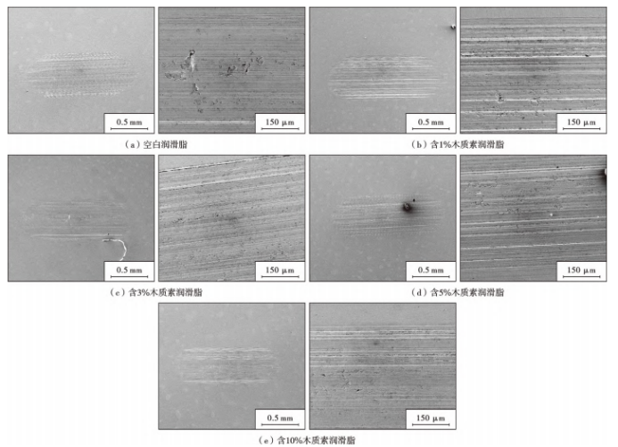 不同润滑脂木质素组合物磨损表面的扫描电子显微镜照片