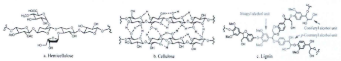 半纤维素、纤维素和木质素结构示意图