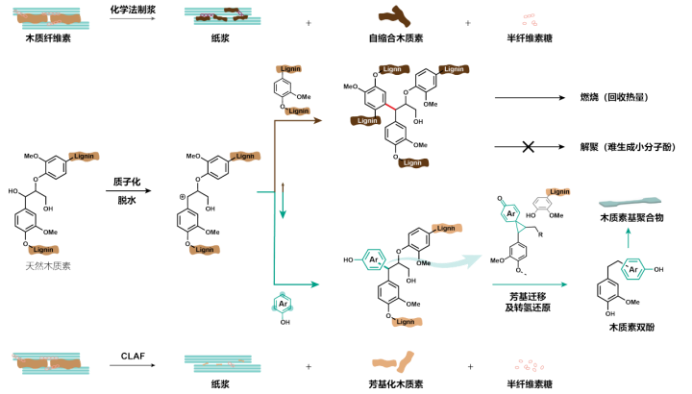 催化木质素芳基化的三素分离（CLAF）研究思路