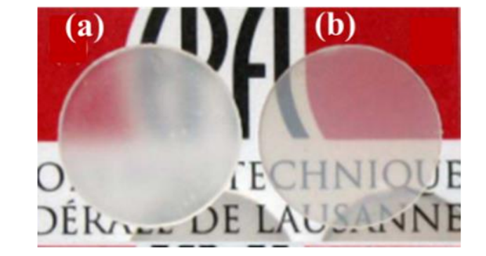 烧结助剂对α-Al2O3陶瓷的影响（a）无烧结助剂（b）MgO/Y2O3