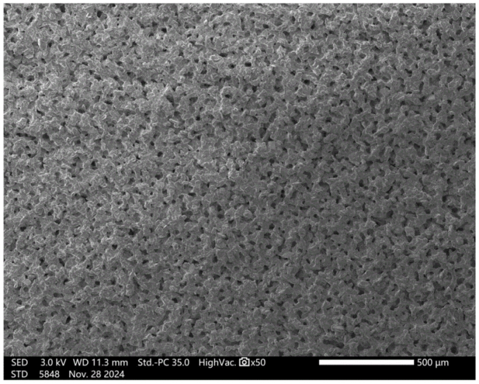 黑色多孔氧化铝陶瓷的SEM电镜形貌图