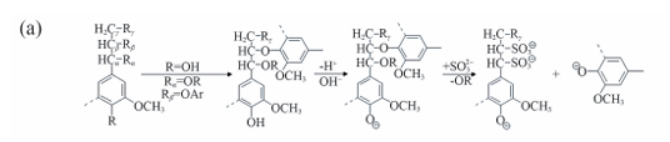 NaOH/Na₂SO₃体系的脱木质素原理