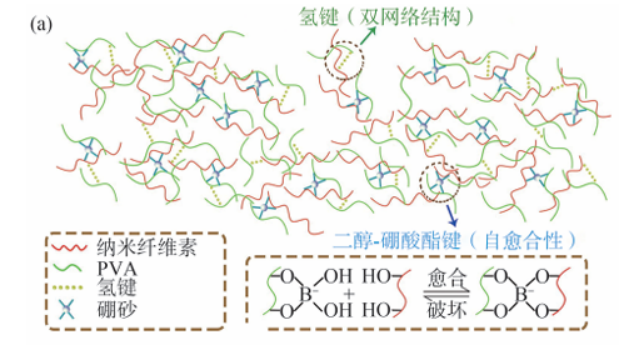以硼砂作为交联剂，将纳米竹纤维素与PVA交联复合形成双网络水凝胶离子导电材料