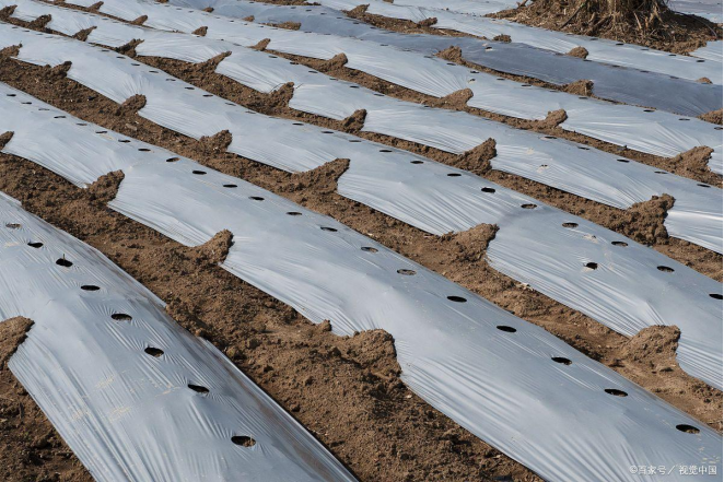 生物可降解农用塑料地膜