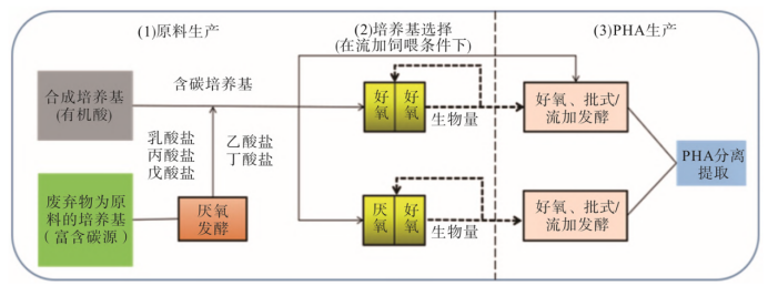 基于混合微生物培养（MMC）的PHA生产过程
