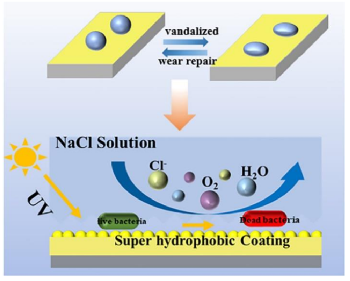具有连续微纳米结构的有机硅防污涂层