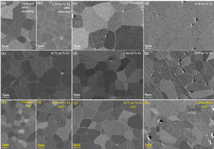 不同Fe含量Al₂O₃在空气与氩气中退火2h后的SEM显微结构
