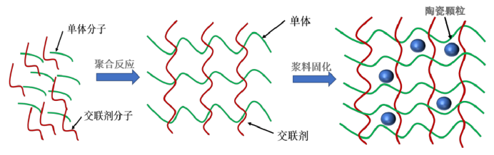 凝胶注模成型陶瓷固化示意图