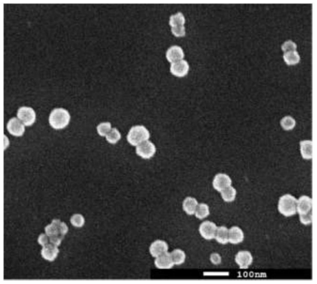 哑铃状二氧化硅磨料