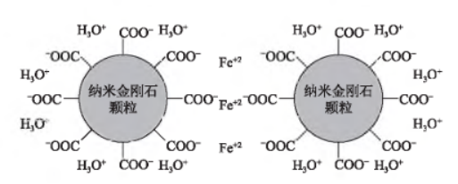 纳米金刚石颗粒在Fe2+作用下连接单个颗粒形成的桥接引起团聚