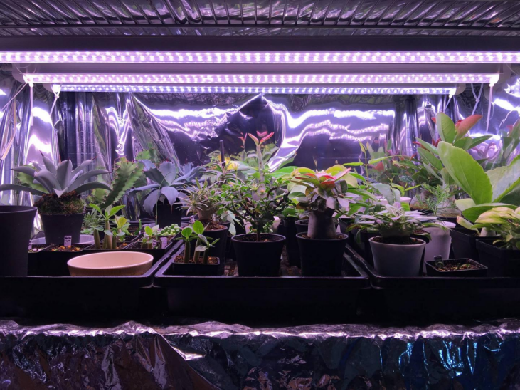 稀土LED植物补光灯 稀土LED植物补光灯