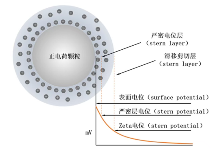 颗粒的双电层结构 颗粒的双电层结构