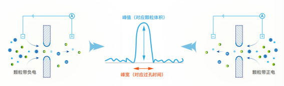 Zeta电位检测原理(电泳法)示意 Zeta电位检测原理(电泳法)示意