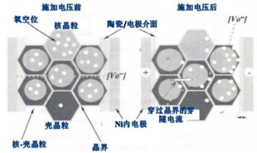 氧空位在晶界处的分布决定了器件的可靠性